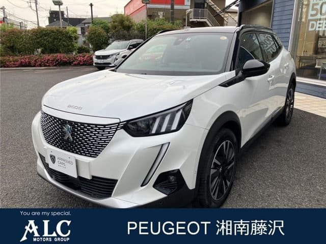 Car image 1