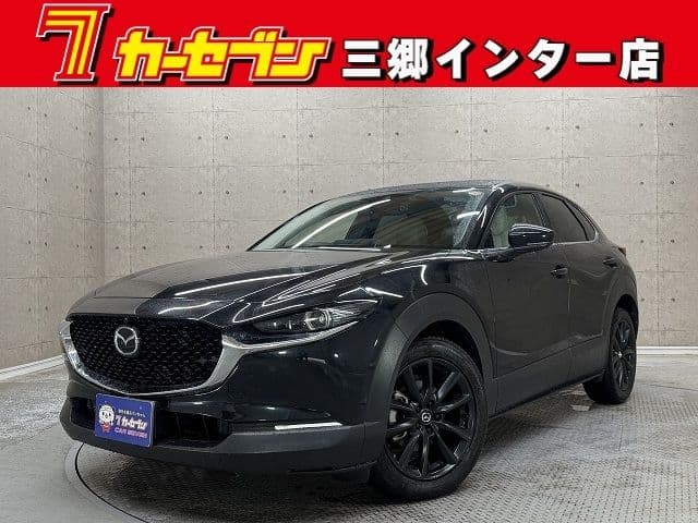 Car image 1