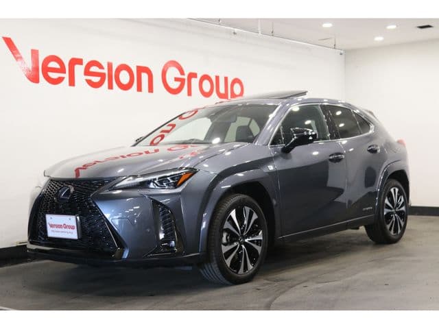 TOYOTA LEXUS UX250h