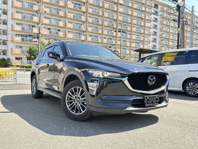 Car image 1