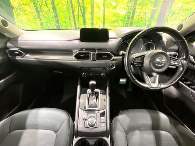 Car thumbnail 2