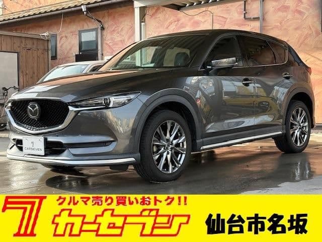 Car image 1