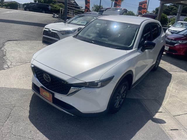 Car image 1