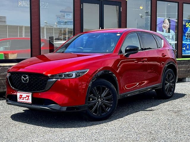 Car image 1