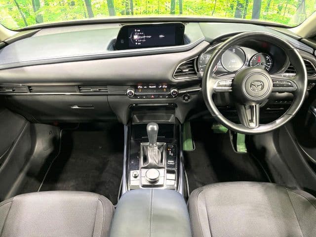 Car thumbnail 2