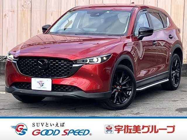 Car image 1