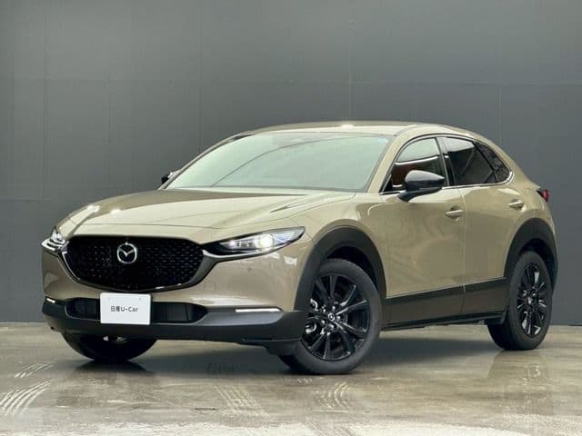 Car image 1