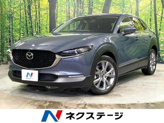 Car image 1