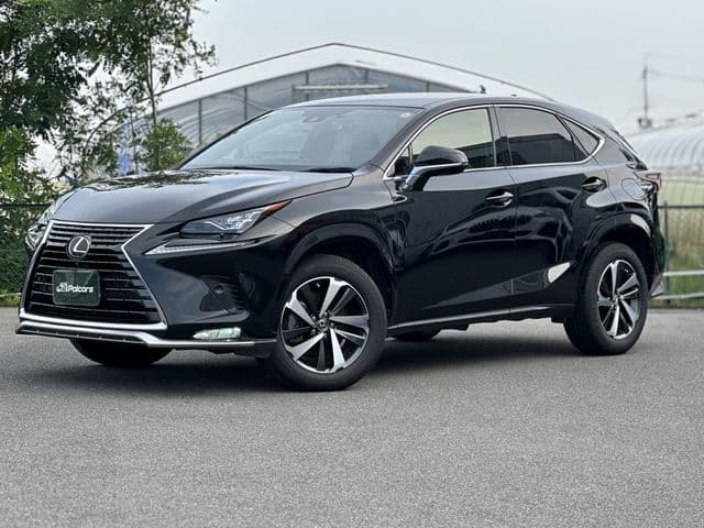 TOYOTA LEXUS NX300