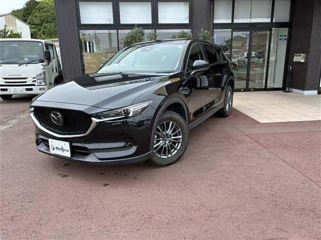 Car image 1