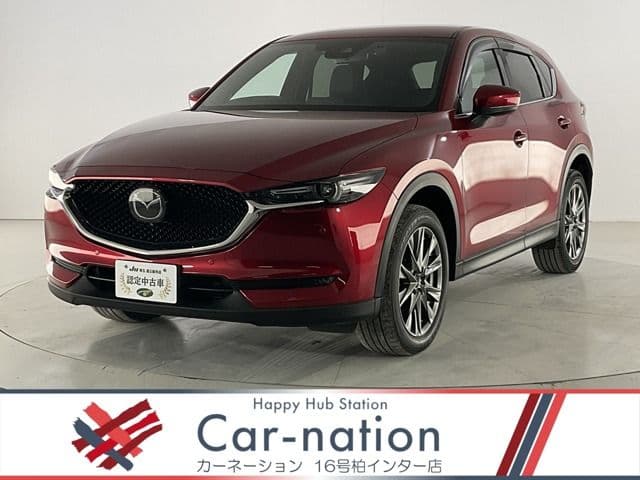 Car image 1