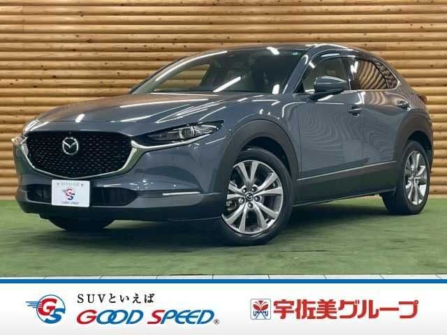 Car image 1