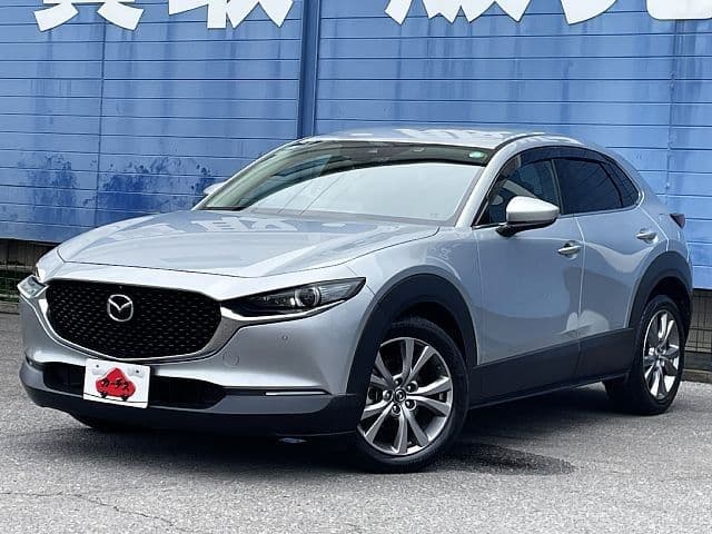Car image 1