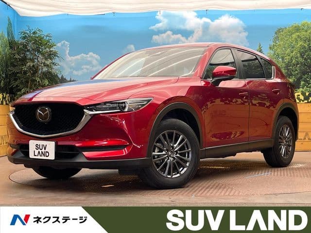 Car image 1
