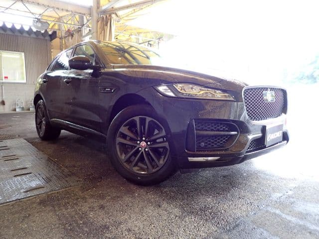 JAGUAR
