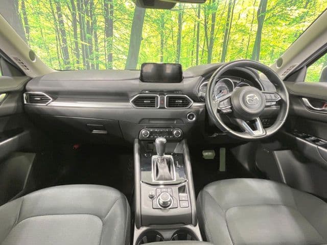 Car thumbnail 2