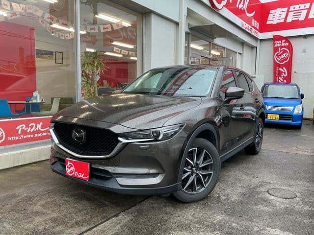 Car image 1