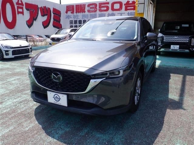 Car image 1