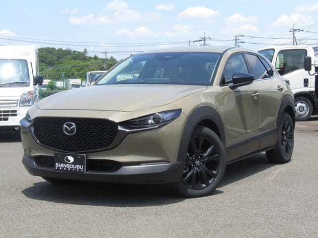 Car image 1