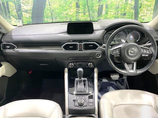 Car thumbnail 2