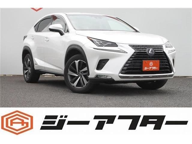 TOYOTA LEXUS NX300h AWD