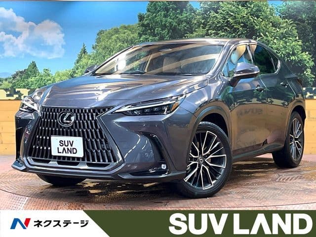 TOYOTA LEXUS NX350h AWD