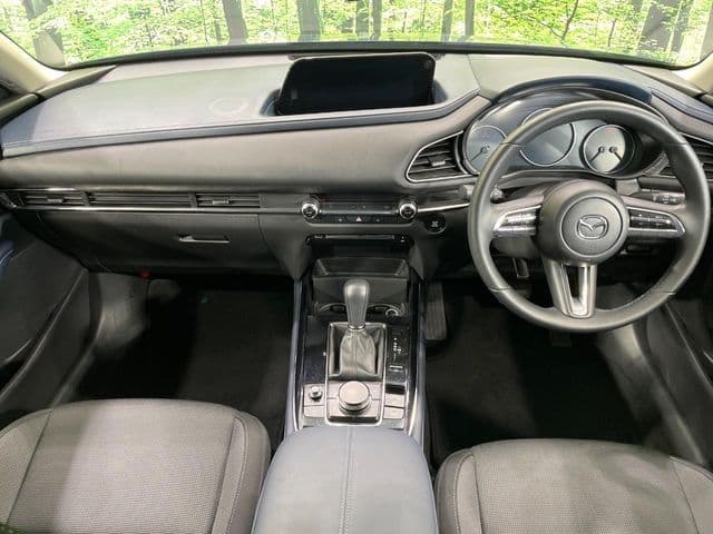 Car thumbnail 2