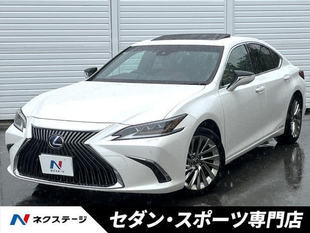 TOYOTA LEXUS ES300h