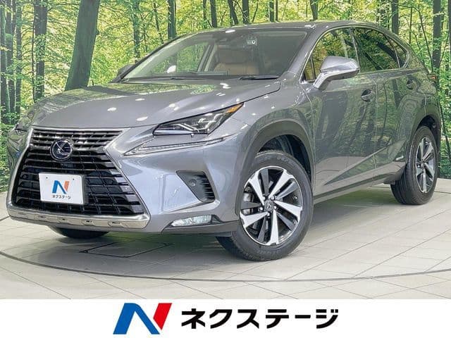 TOYOTA LEXUS NX300h