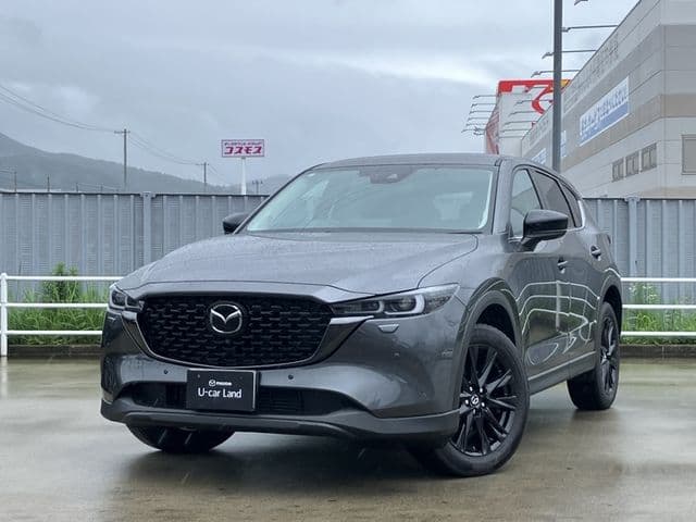 Car image 1