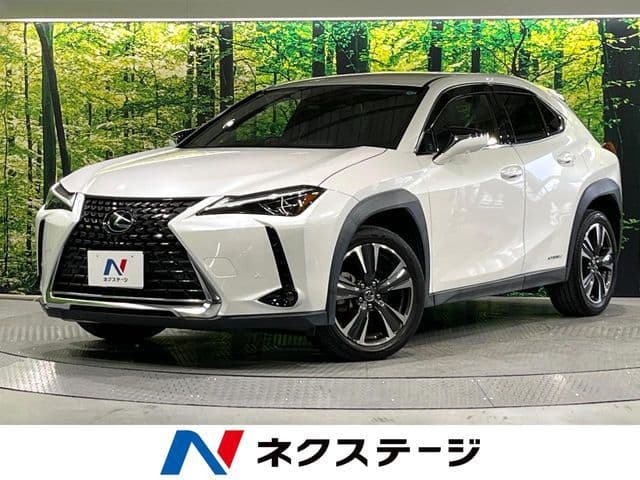 TOYOTA LEXUS UX250h