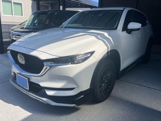 Car image 1