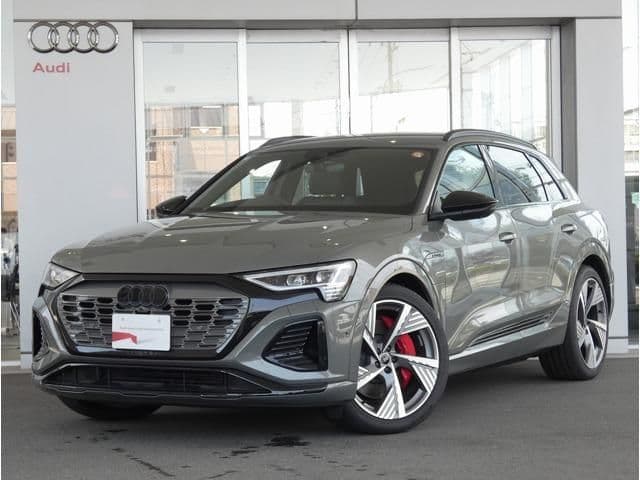 AUDI AUDI Q8 e-tron
