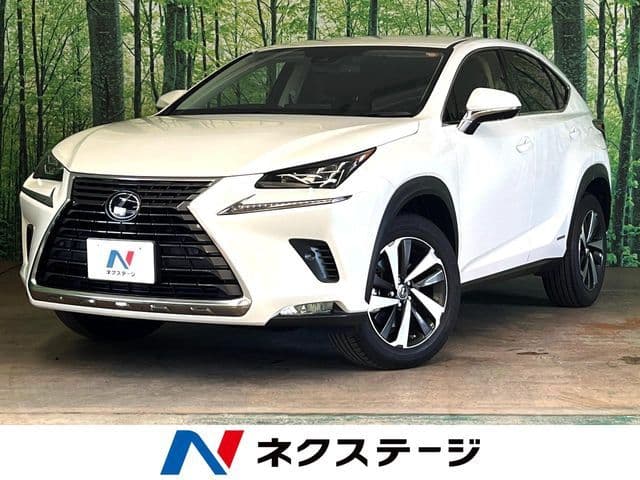 TOYOTA LEXUS NX300h