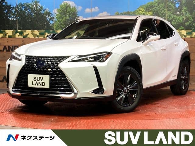 TOYOTA LEXUS UX250h