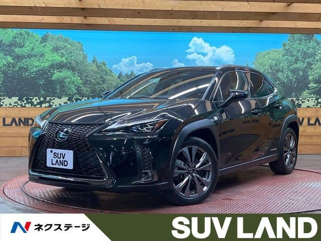 TOYOTA LEXUS UX250h AWD
