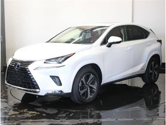 TOYOTA LEXUS NX300h AWD