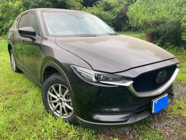 Car image 1