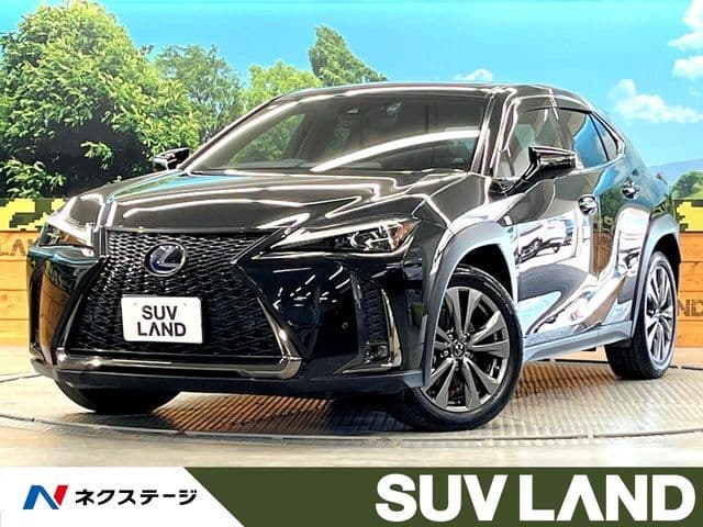 TOYOTA LEXUS UX250h
