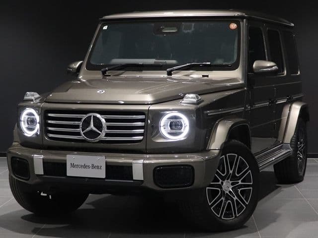 MERCEDES BENZ MERCEDES BENZ G class