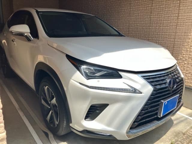 TOYOTA LEXUS NX300h