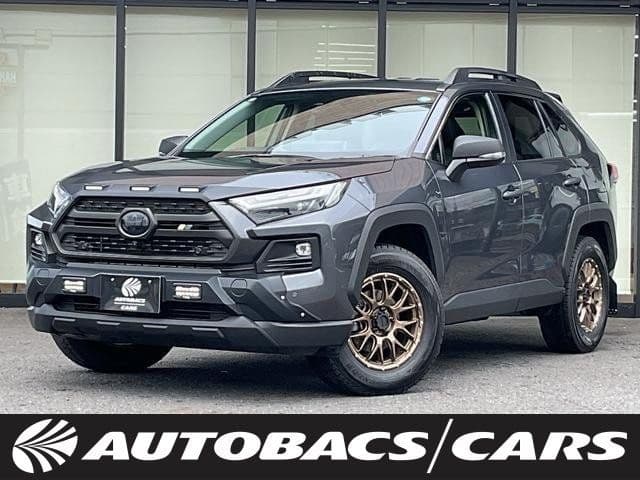TOYOTA RAV4 HYBRID 4WD