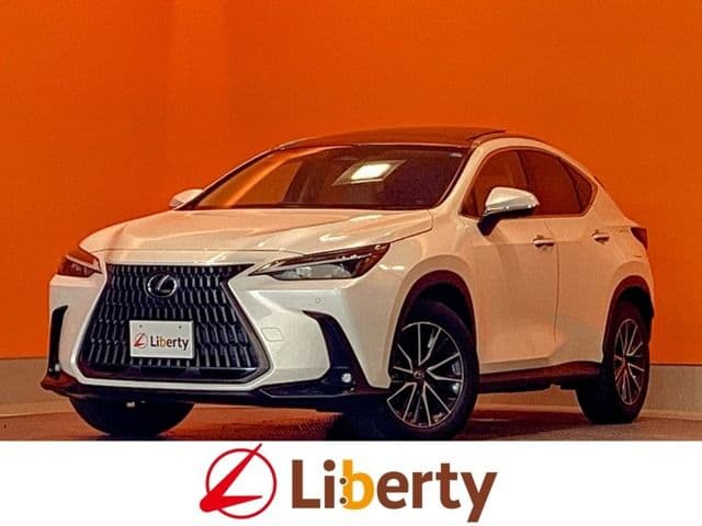 TOYOTA LEXUS NX250
