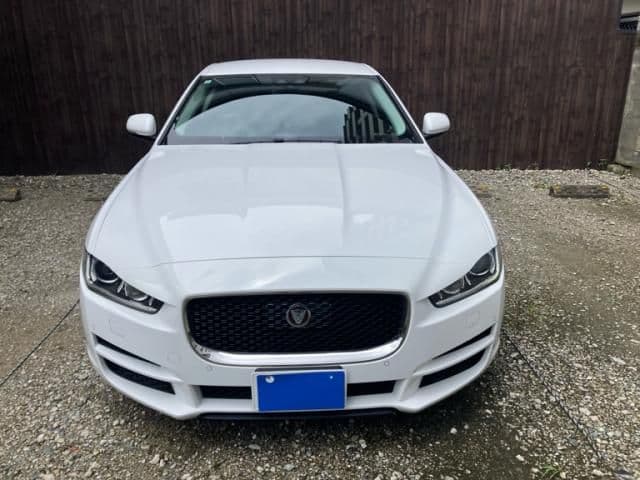 JAGUAR