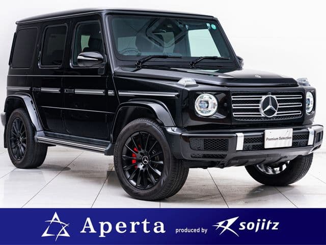 MERCEDES BENZ MERCEDES BENZ G class