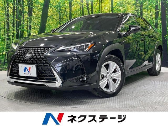 TOYOTA LEXUS UX250h
