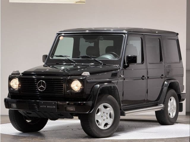 MERCEDES BENZ MERCEDES BENZ G class