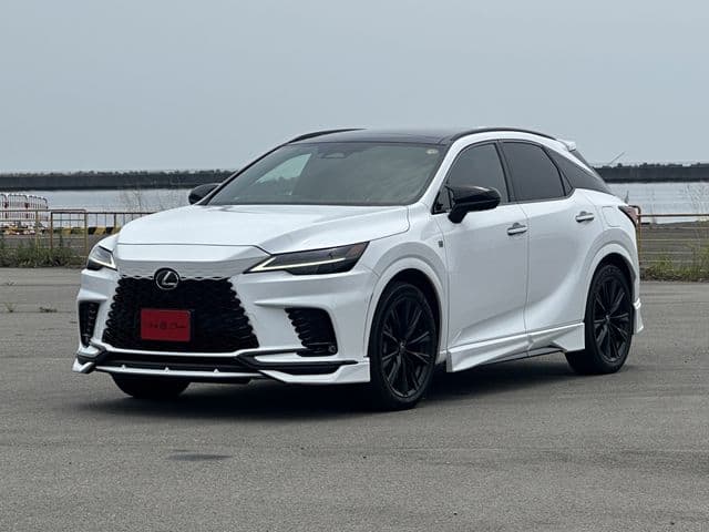 TOYOTA LEXUS RX500h