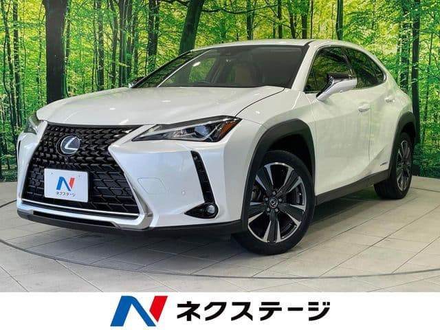 TOYOTA LEXUS UX250h