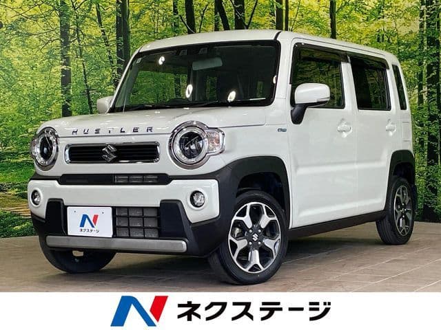 SUZUKI HUSTLER